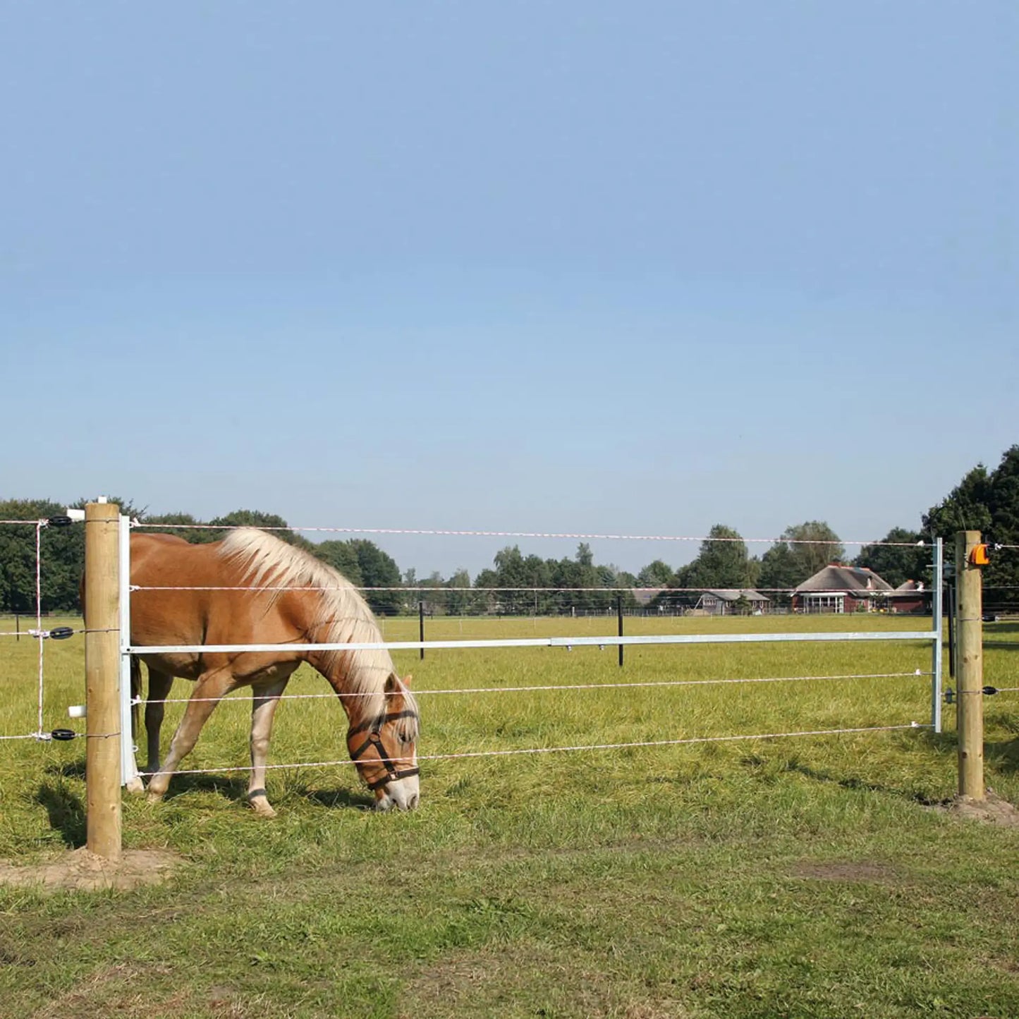 Gallagher Electrified steel gate