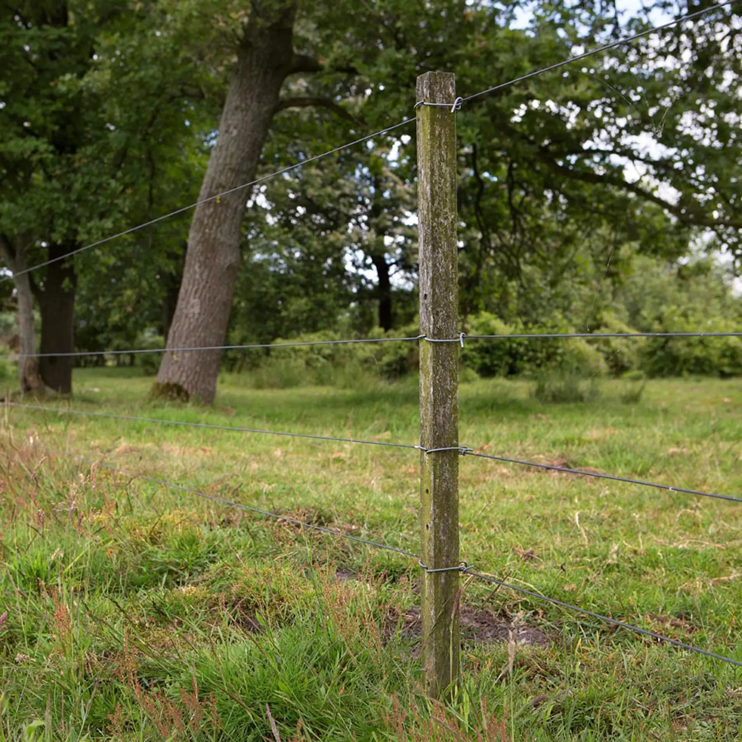 Gallagher Insultimber (FSC®) Intermediate Post (3.8 x 3.8cm - 1.80 metres)
