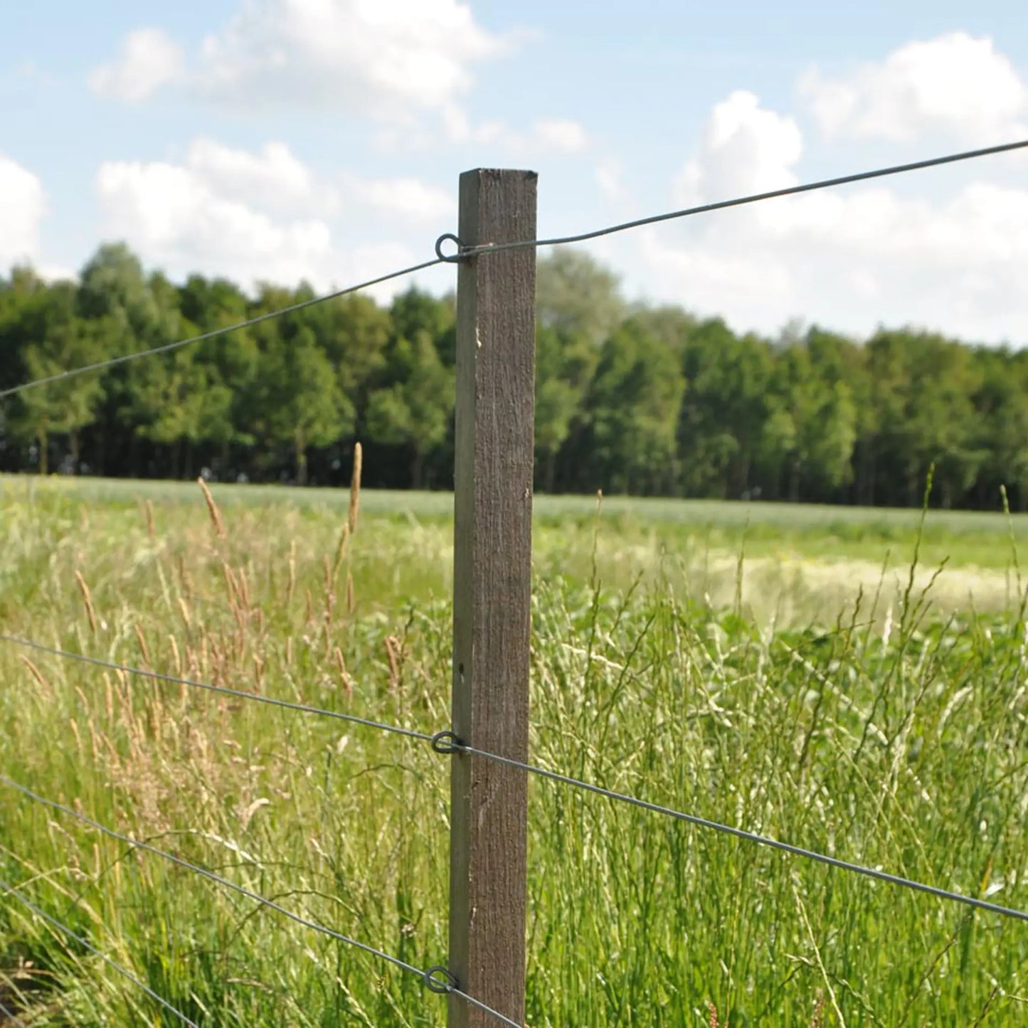 Gallagher Insultimber (FSC®) Intermediate Post (3.8 x 3.8cm - 1.80 metres)