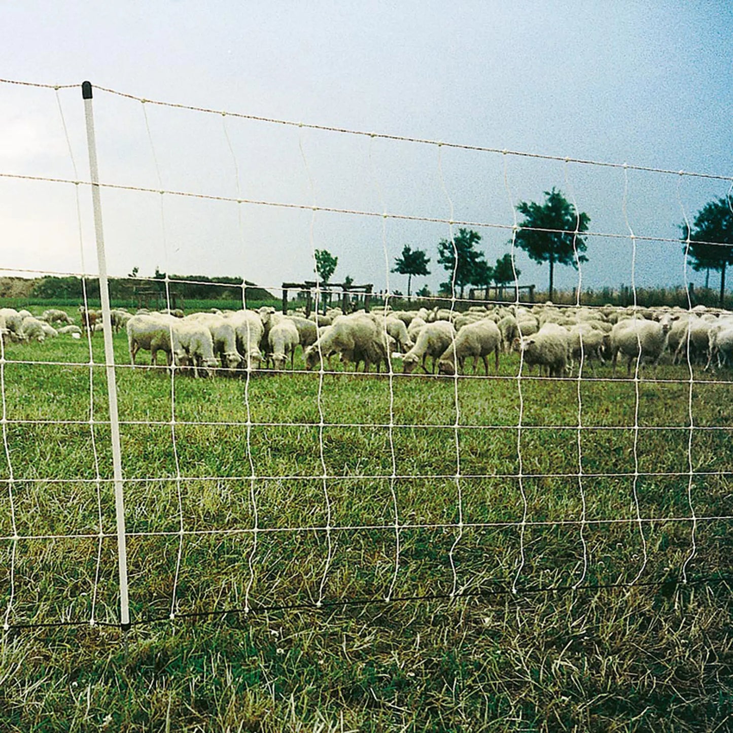 Gallagher Turbo net, single pin, 90cm, 50m