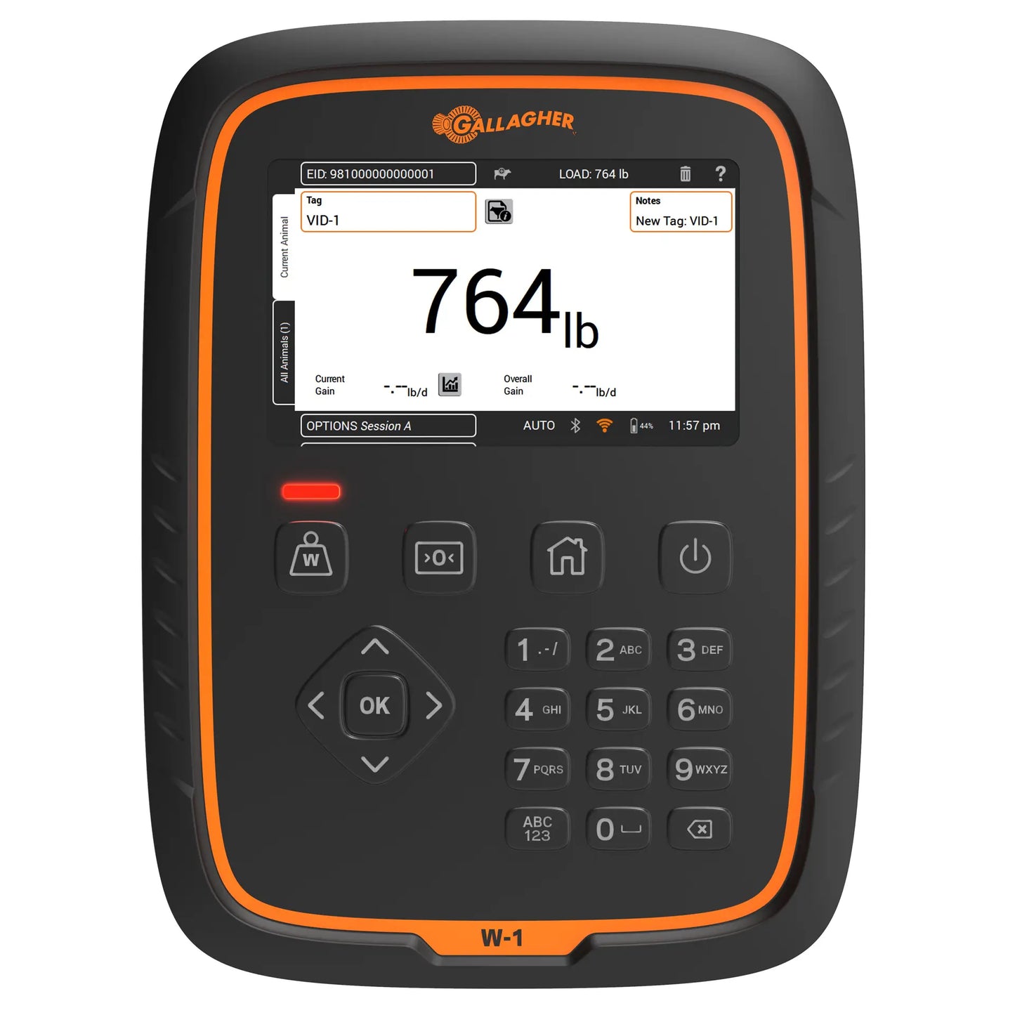 Gallagher Weigh scale W1