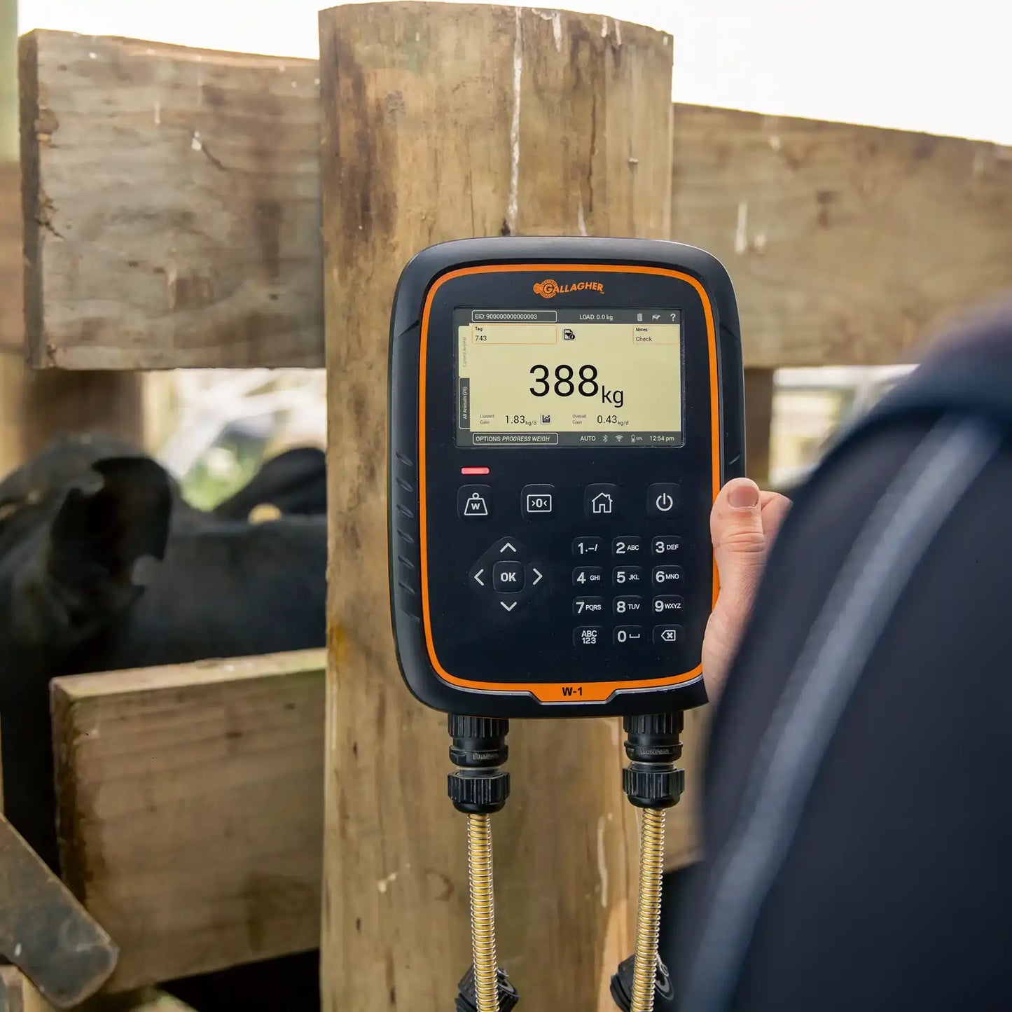 Gallagher Weigh scale W1