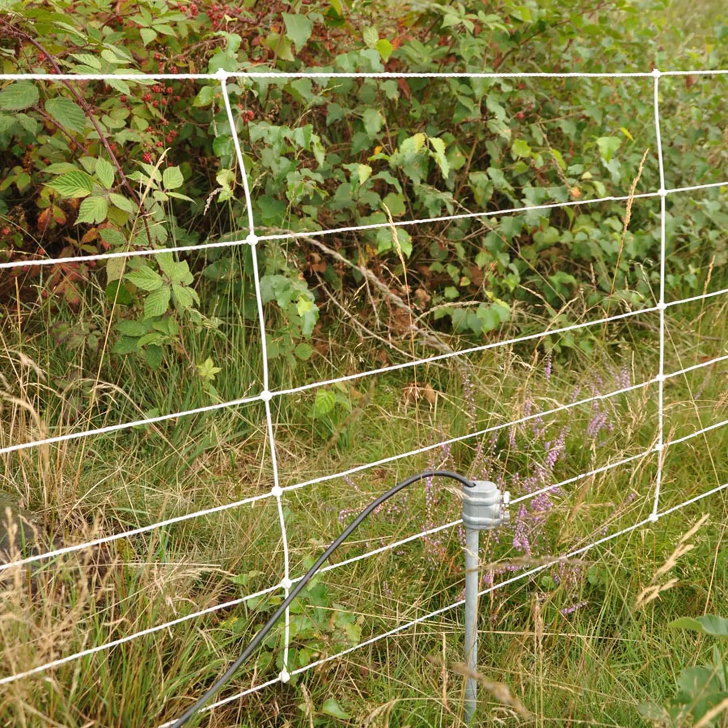 Gallagher Earth clamp