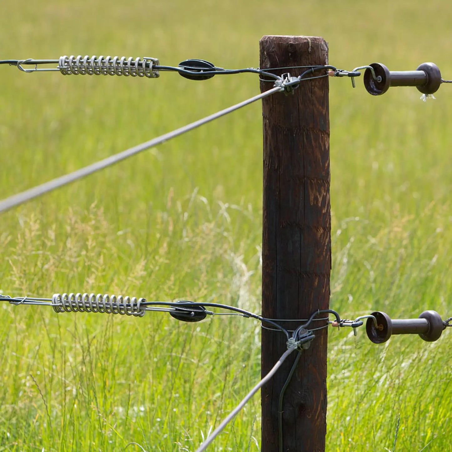 Gallagher Permanent cable / EquiFence (terra, 250 metres)