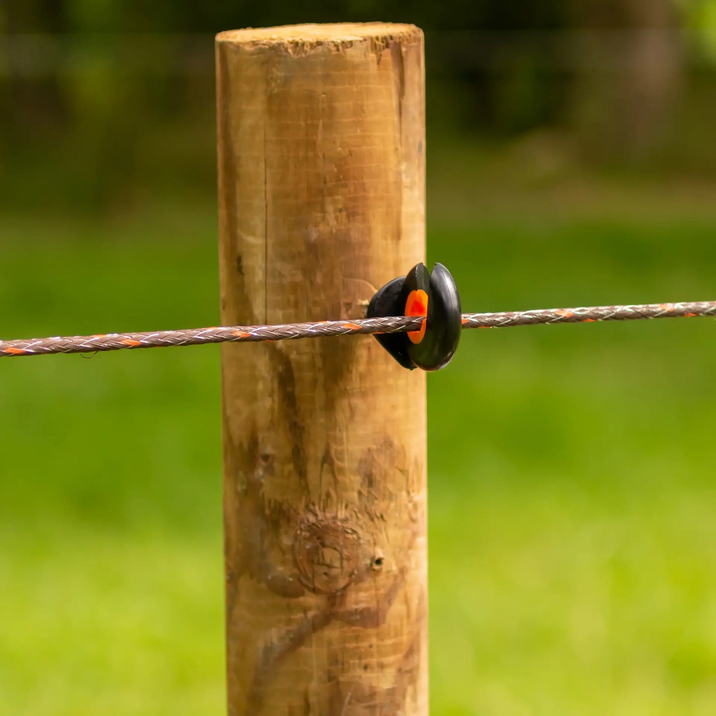 Gallagher TurboLine Rope (terra, 200 meter)