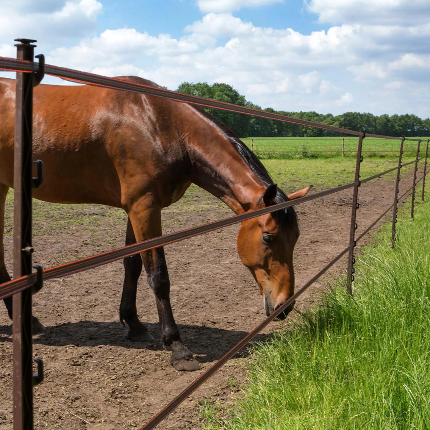 Gallagher Horse post (duo pack, terra, 2 x pack of 5)