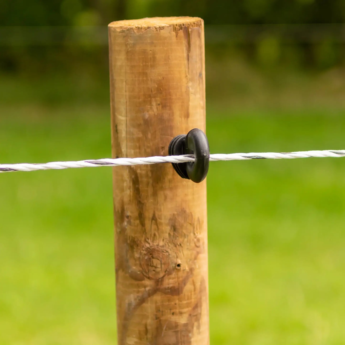 Gallagher EconomyLine Rope (white, 500 meter)