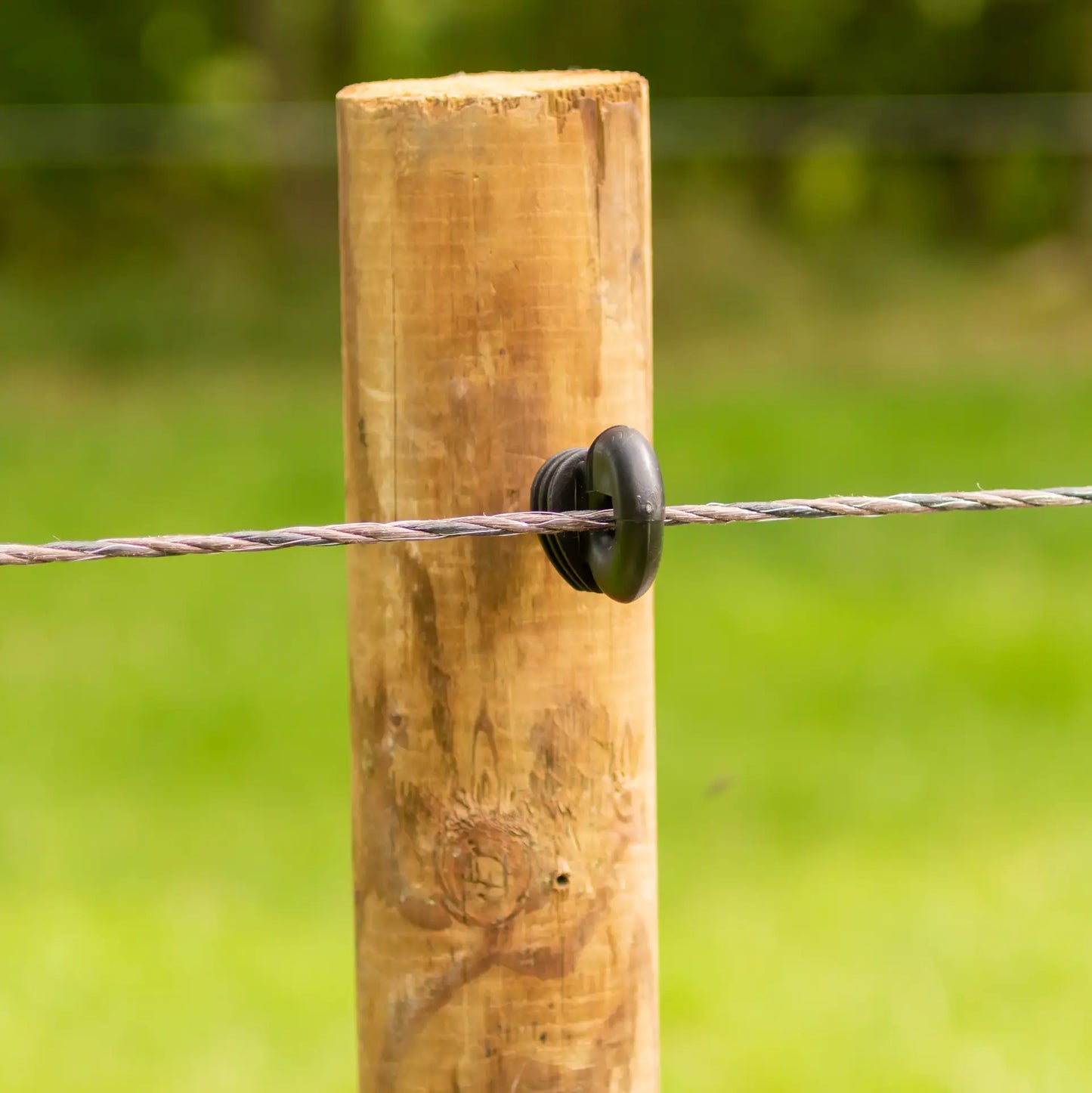 Gallagher EconomyLine Rope (terra, 200 meter)