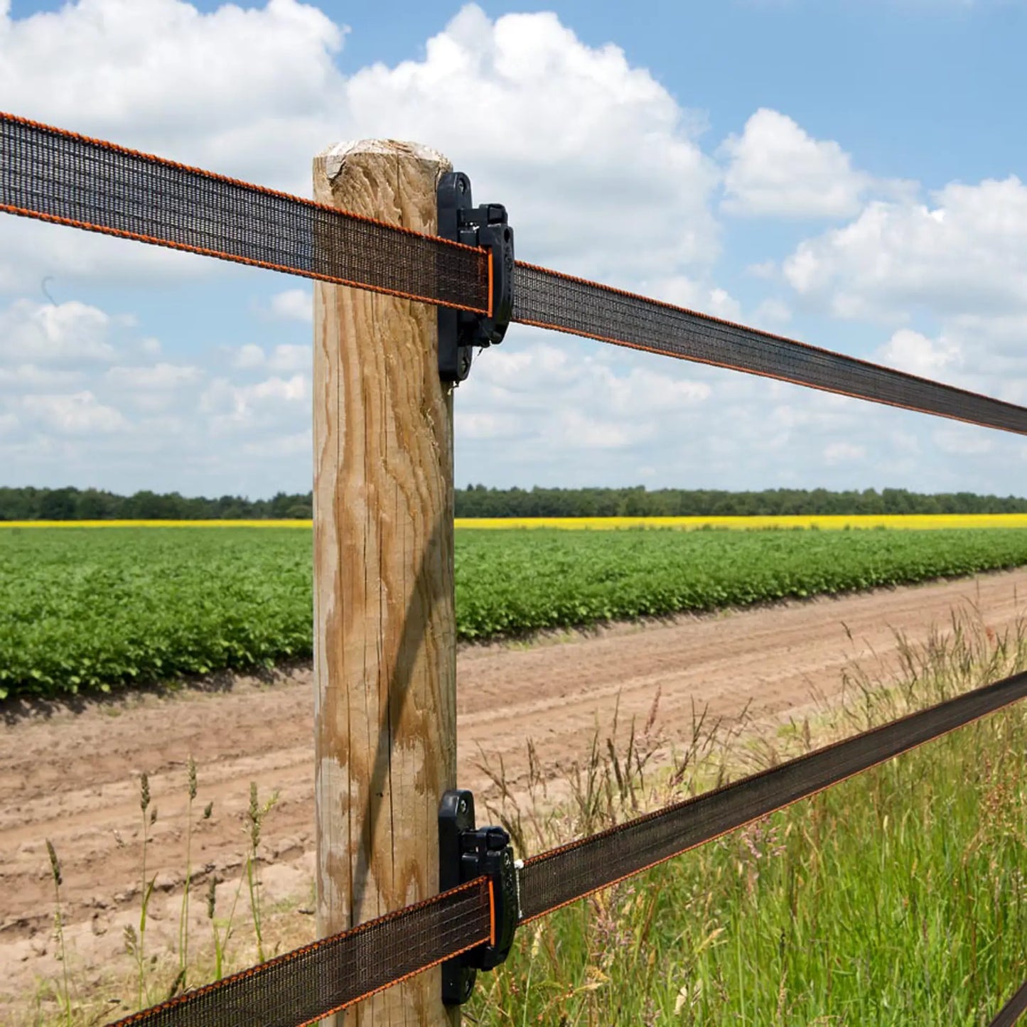 Gallagher Gallagher electric fence tape TurboStar 40mm wide (100m) Terra