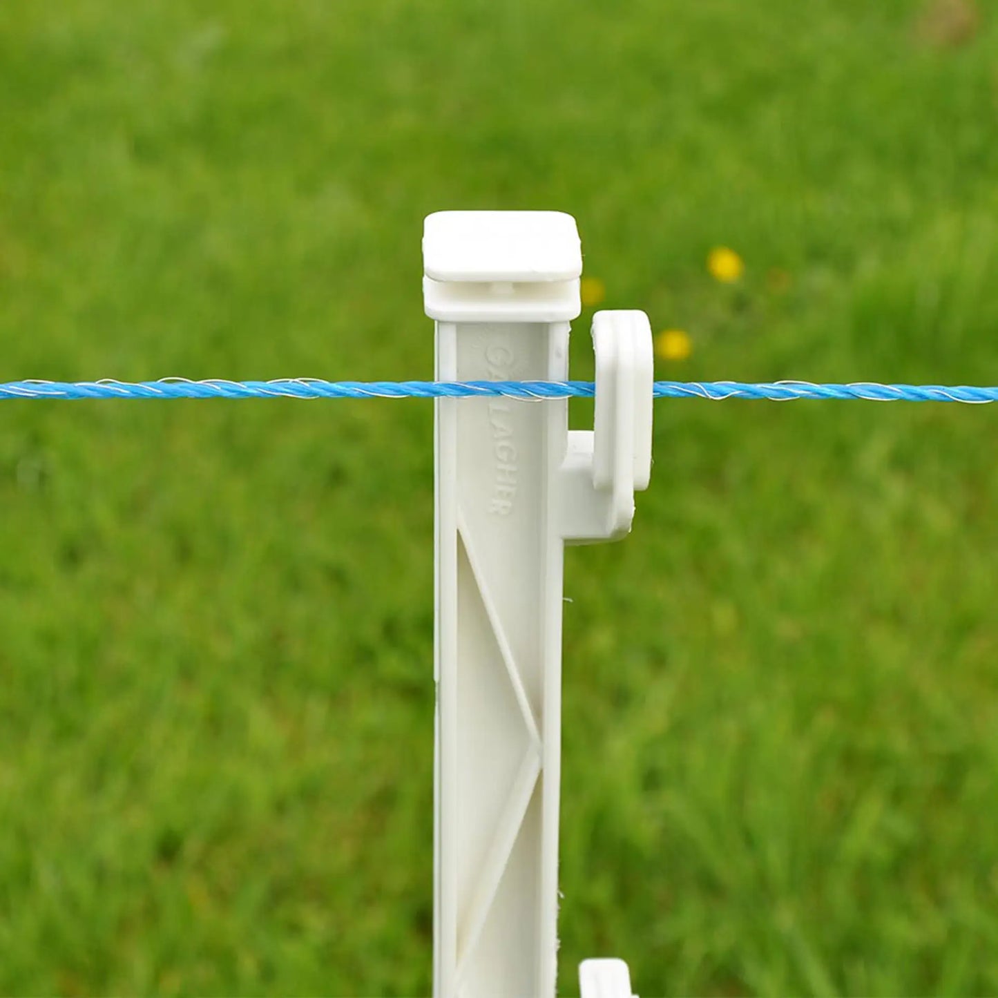 Gallagher Blue Polywire 1000m