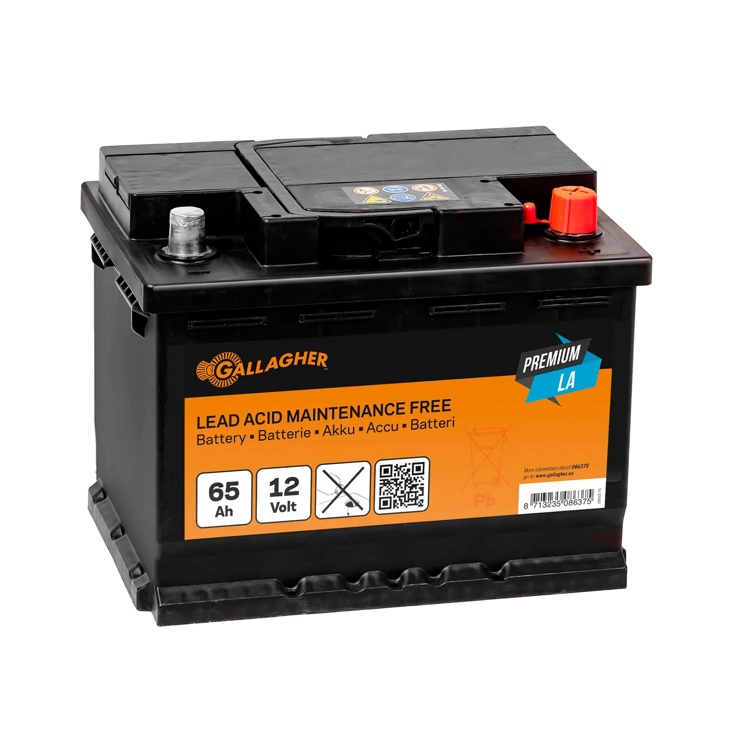 Gallagher Battery 12V/65Ah Premium LA - 242x175x190