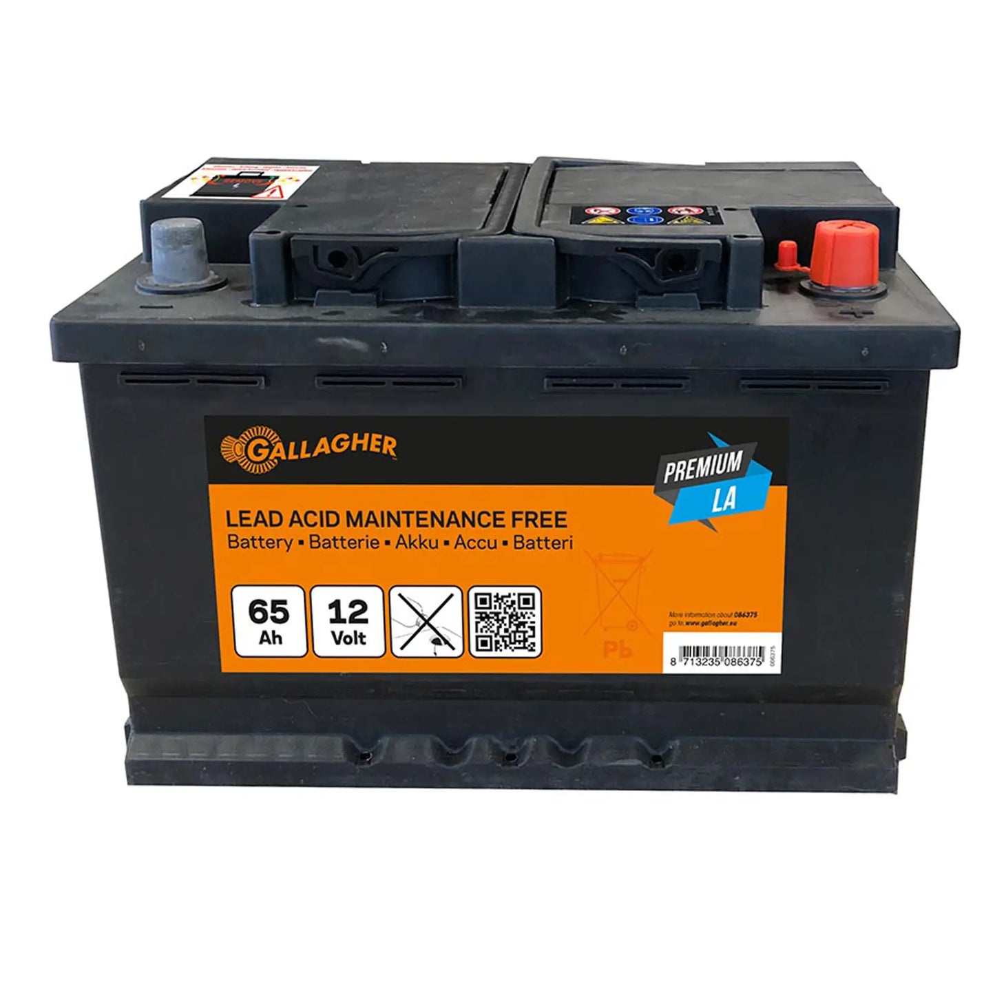 Gallagher Battery 12V/65Ah Premium LA - 242x175x190