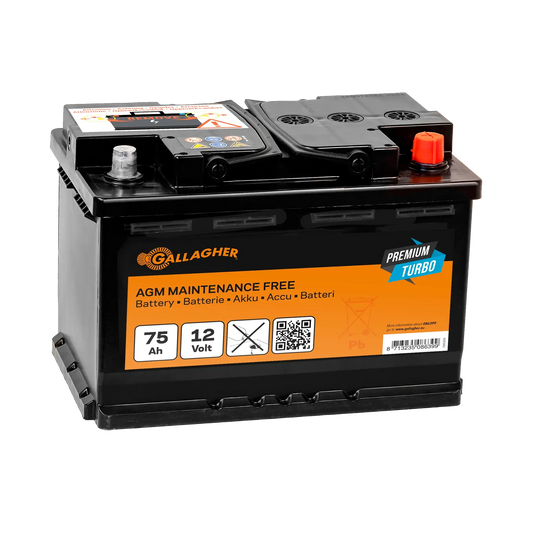 Gallagher Battery 12V/75Ah Premium Turbo AGM - 278x175x190