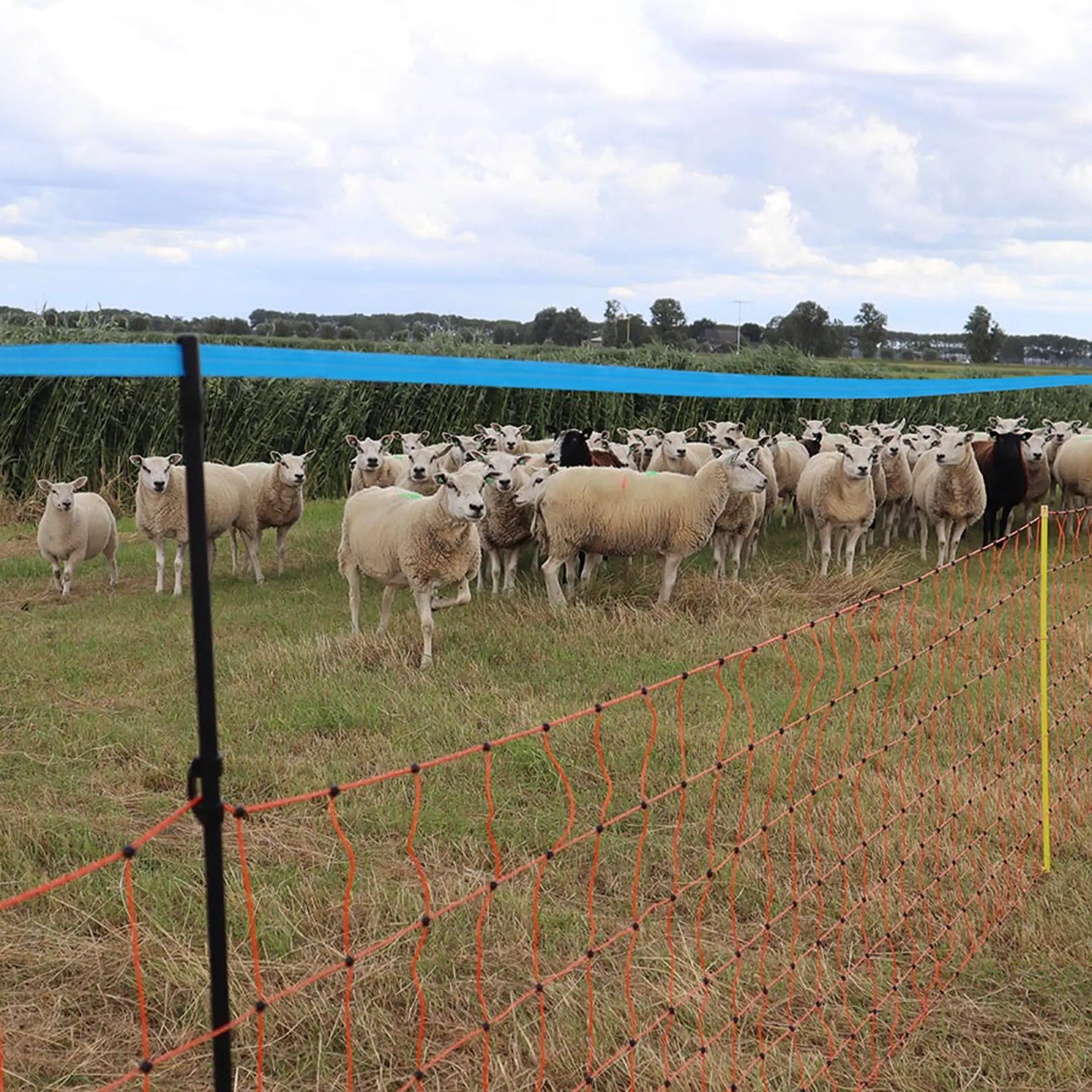 Gallagher Wolf-upgrade kit for 90cm sheep netting (8)
