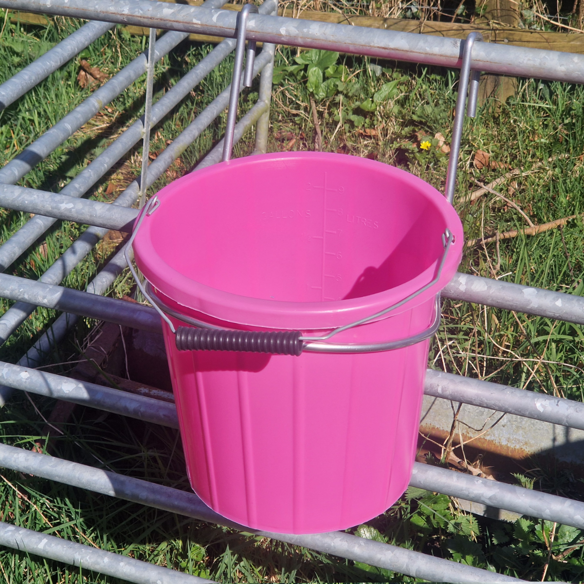 10L Bucket Feeder | Galvanised Ring Holder & Hoof Proof Buckets