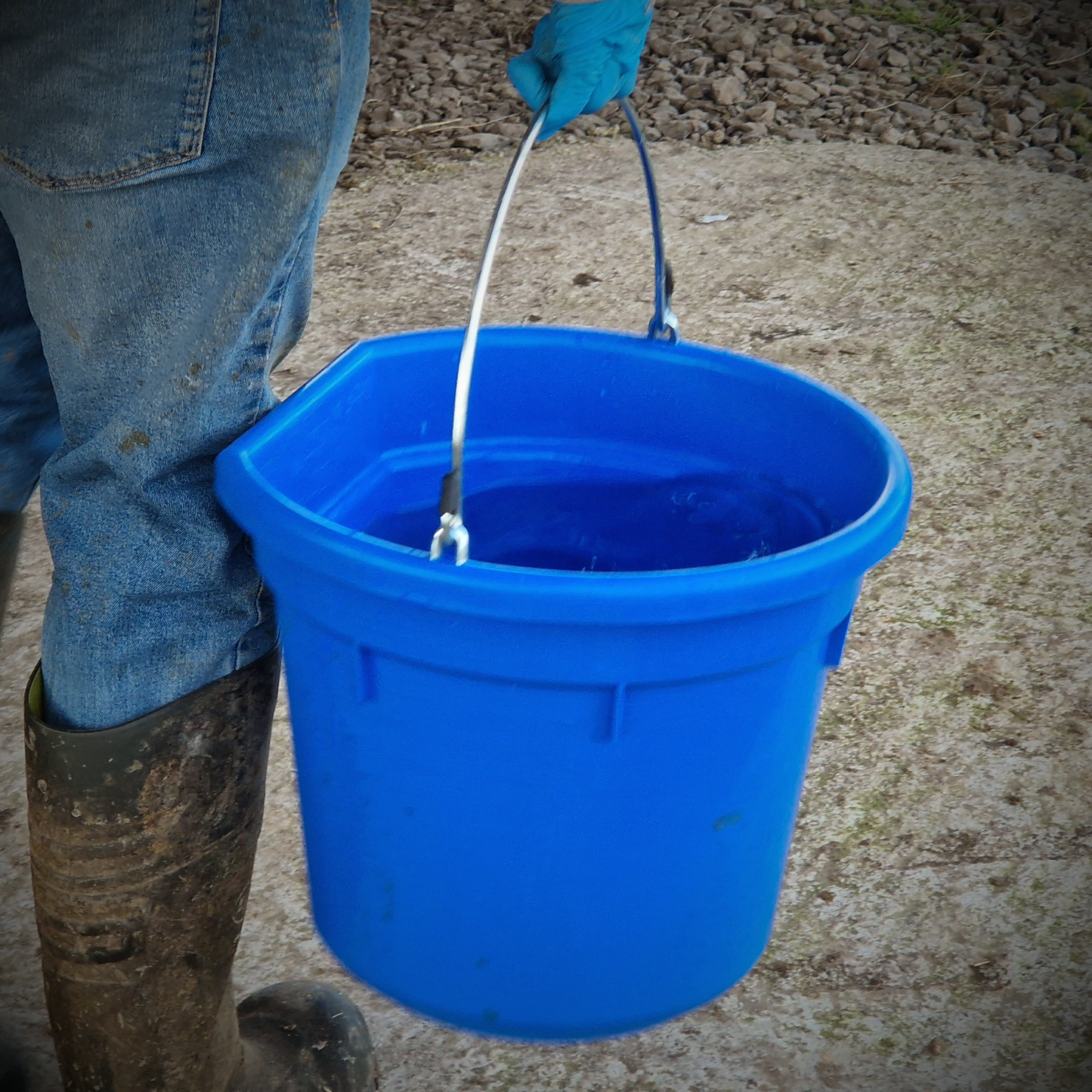 20L Flatback Bucket Large Plastic Pale w/ Steel Carry Handle