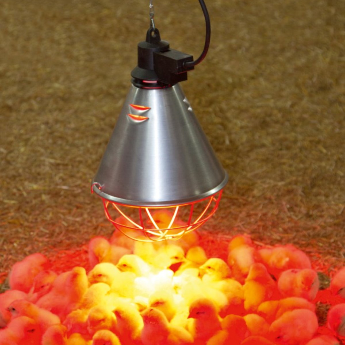 Heat Lamp Reflector Light 250W - Incubator Whelping Poultry Pigs & Lambs - Long Grill
