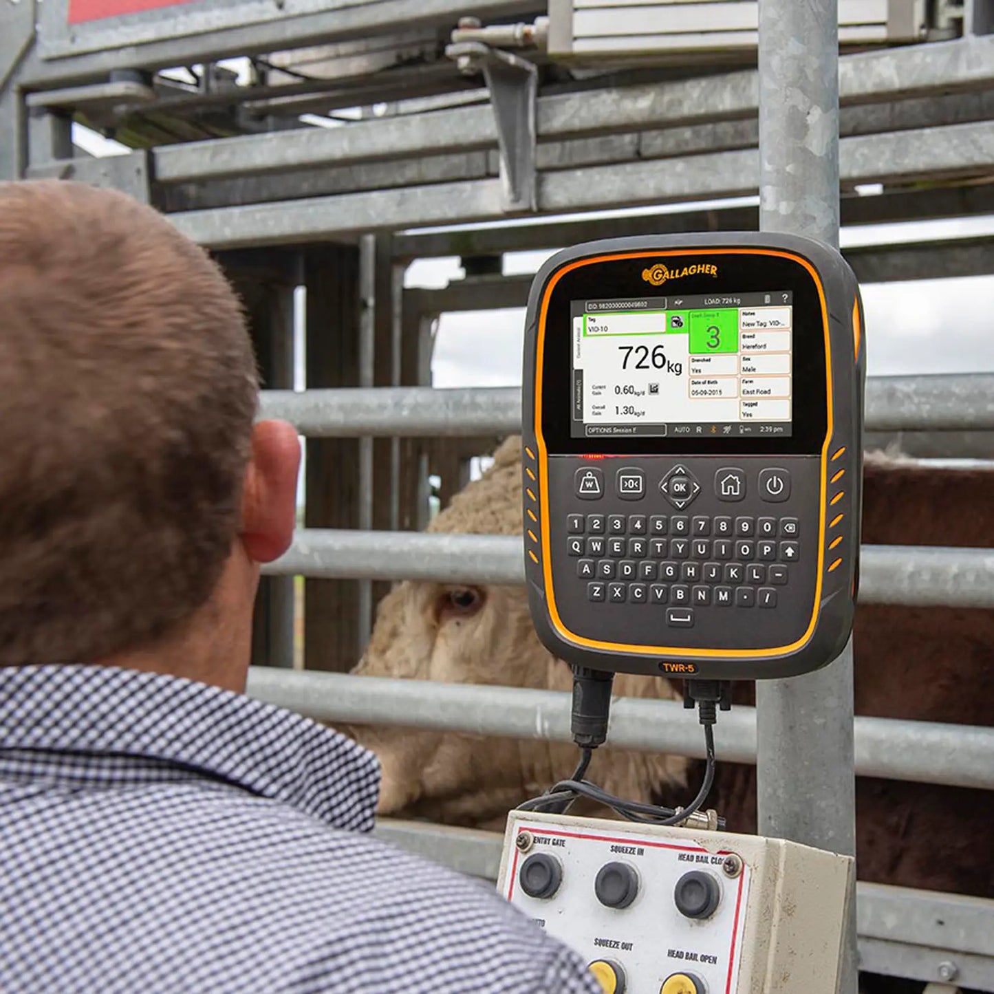 Gallagher TWR-5 Weigh Scale and Data Collector with integrated EID Reader