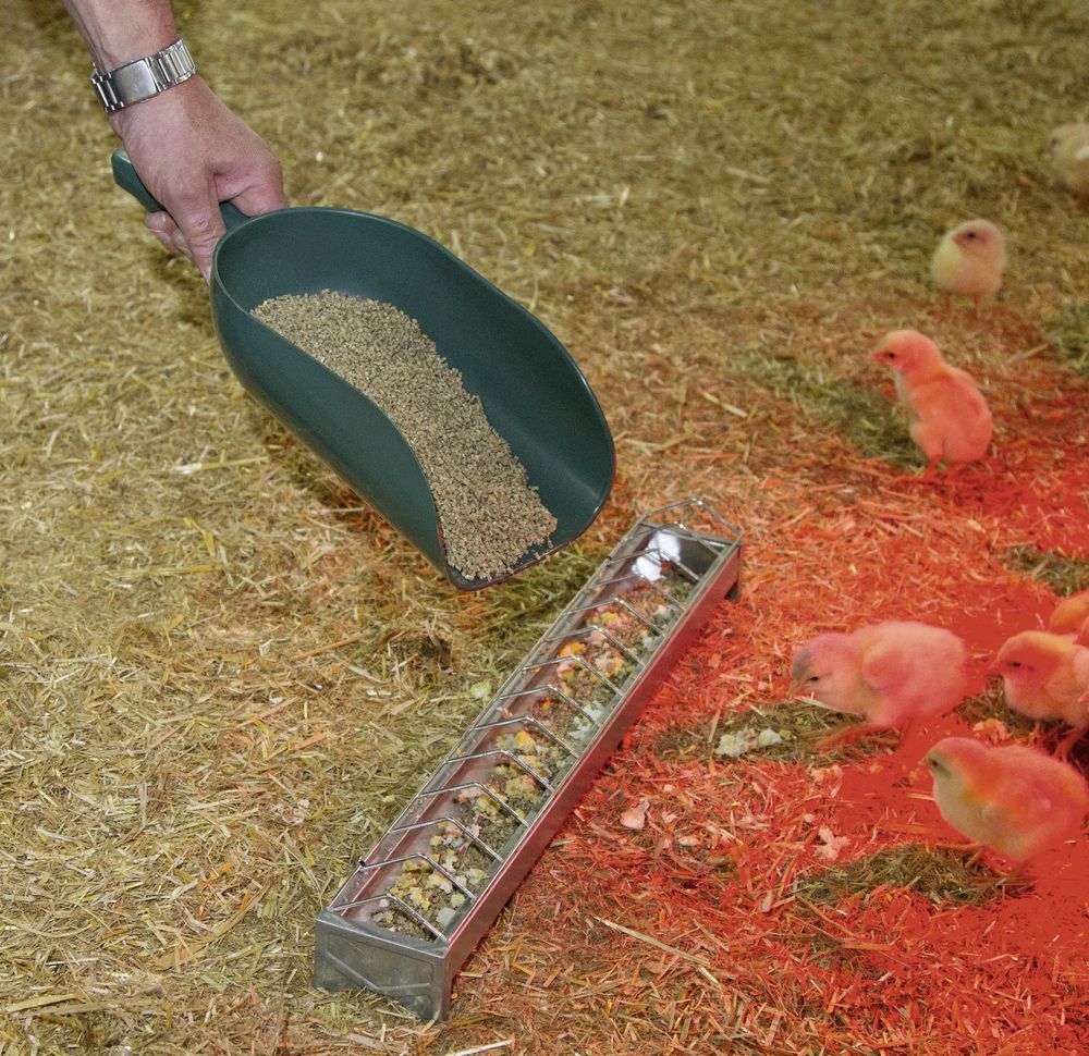 Plastic Feed Scoop 500g