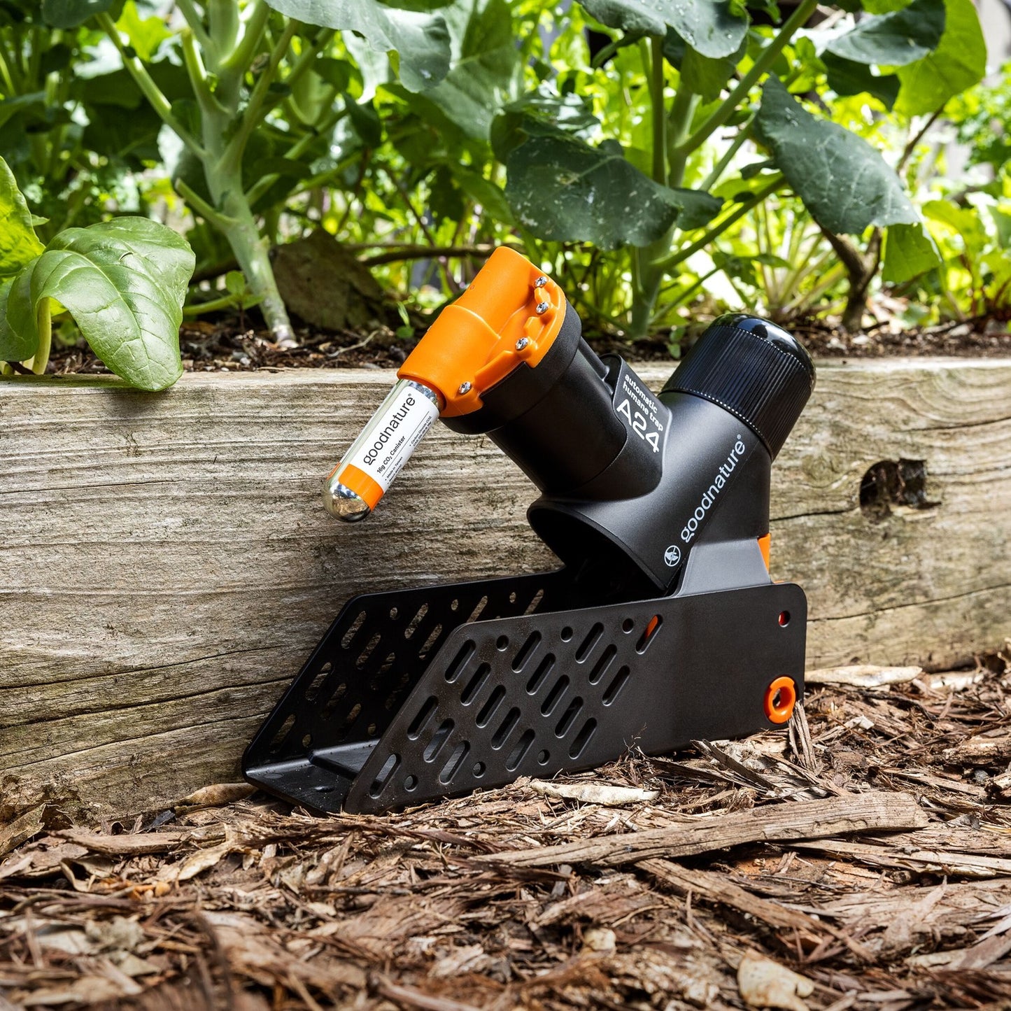 Gallagher Goodnature Smart Rat and Mouse Trap Kit
