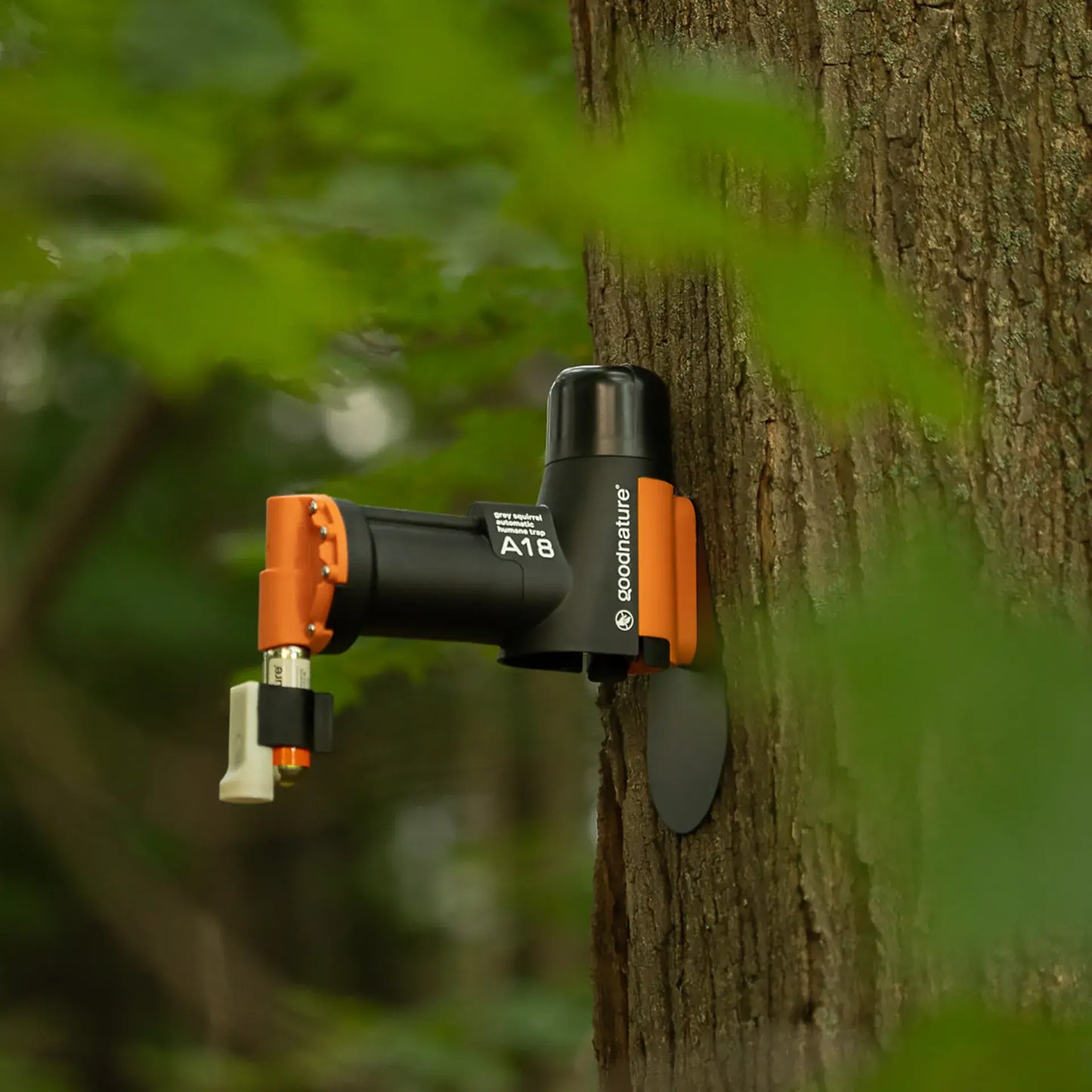 Gallagher A18 Grey Squirrel Trap Kit