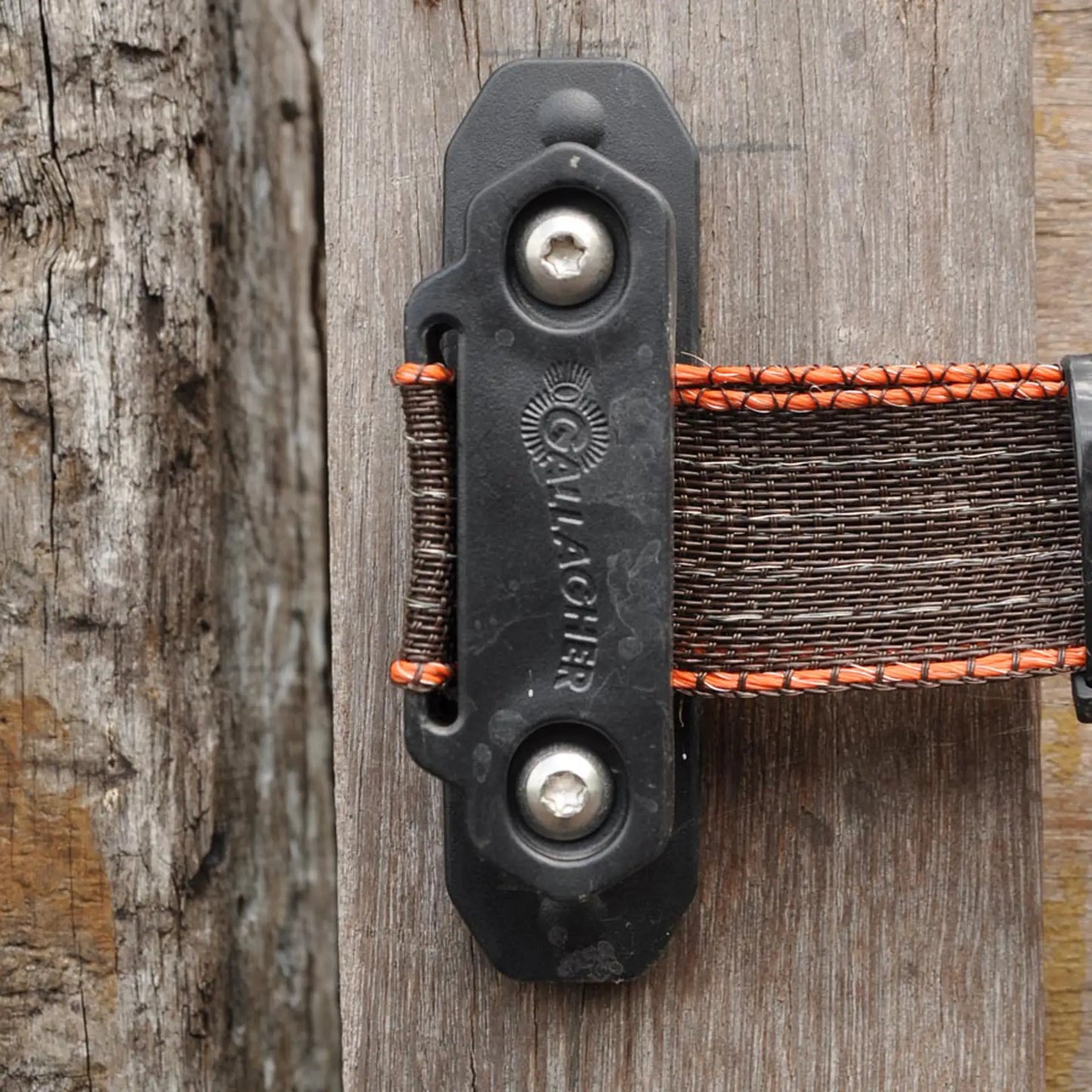 Gallagher TurboStar corner insulator for horses (pack of 5)