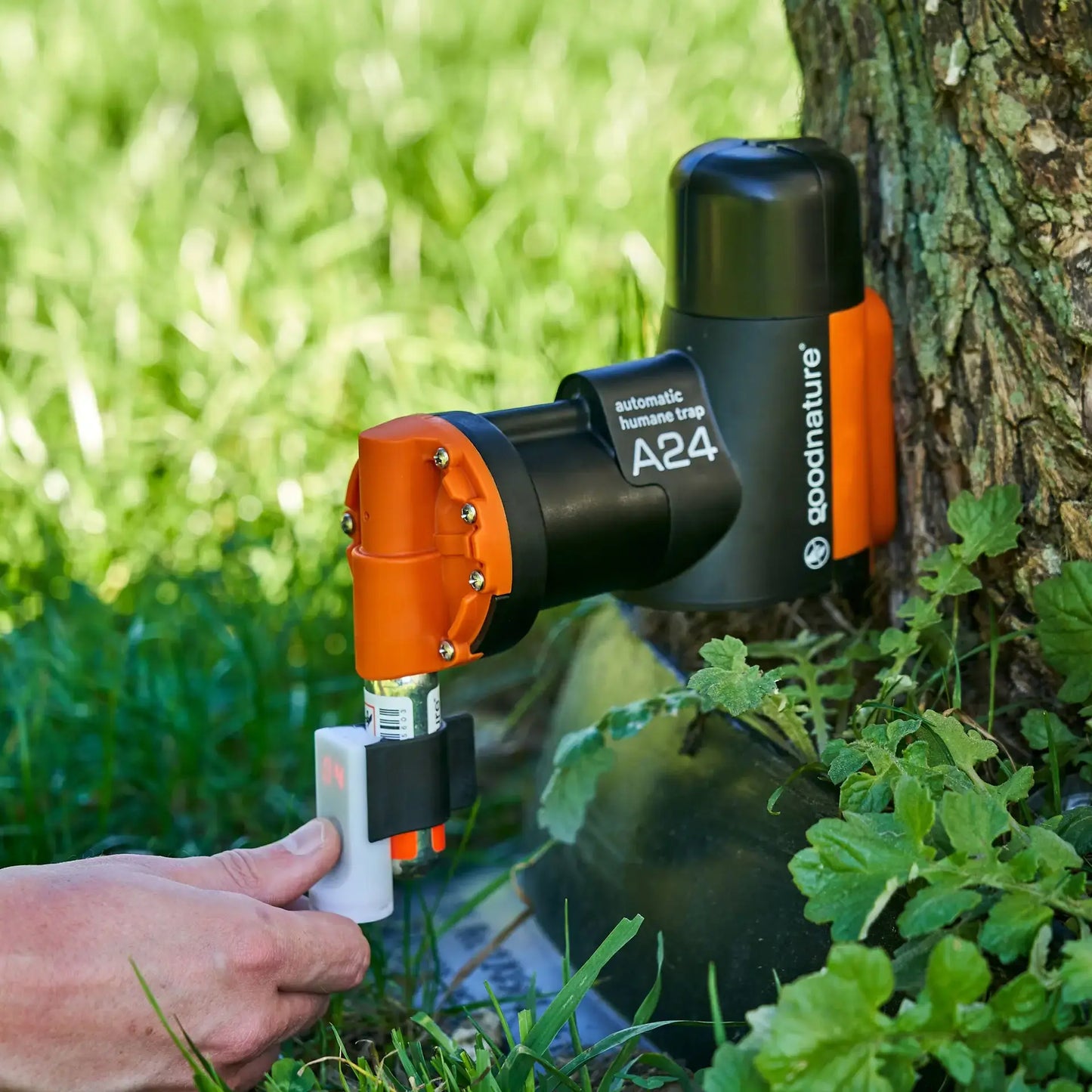 Gallagher Digital Strike Counter Goodnature A24