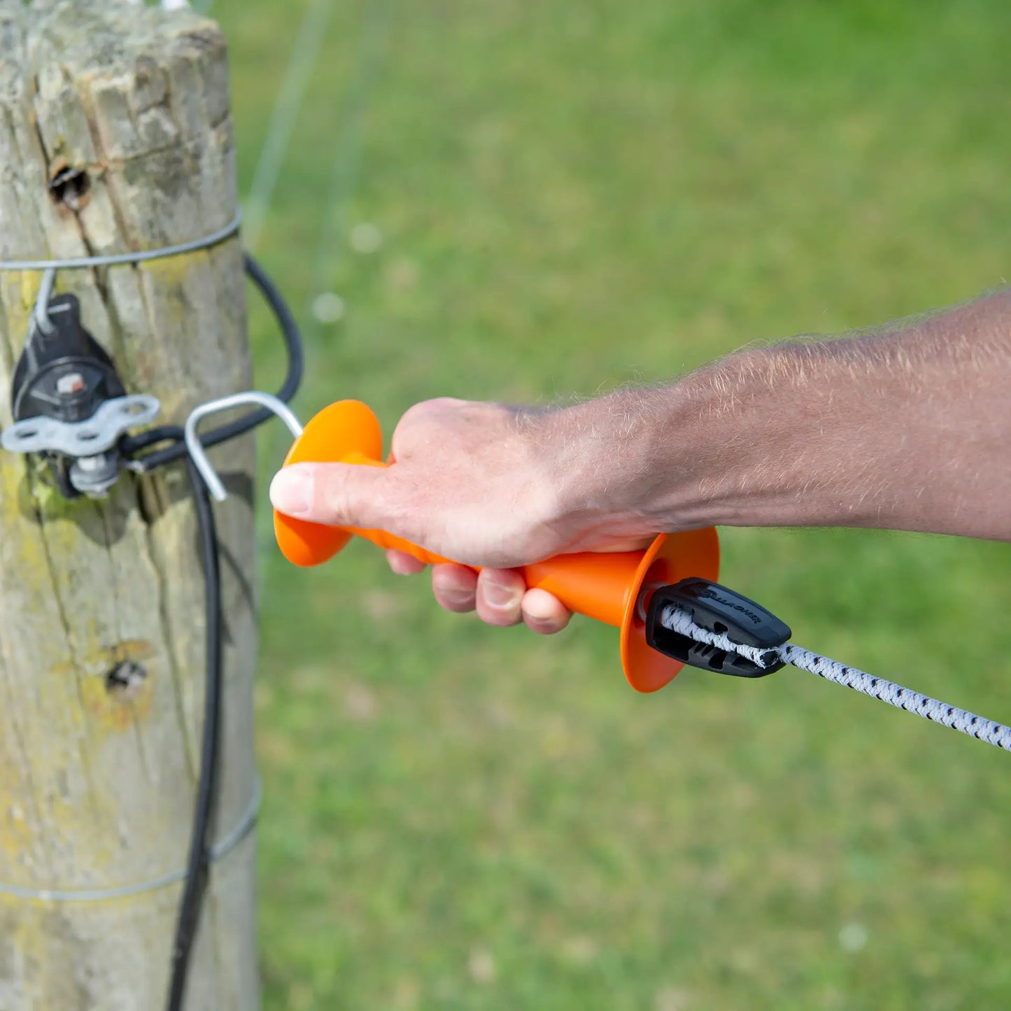 Gallagher Elastic rope clamp (10)