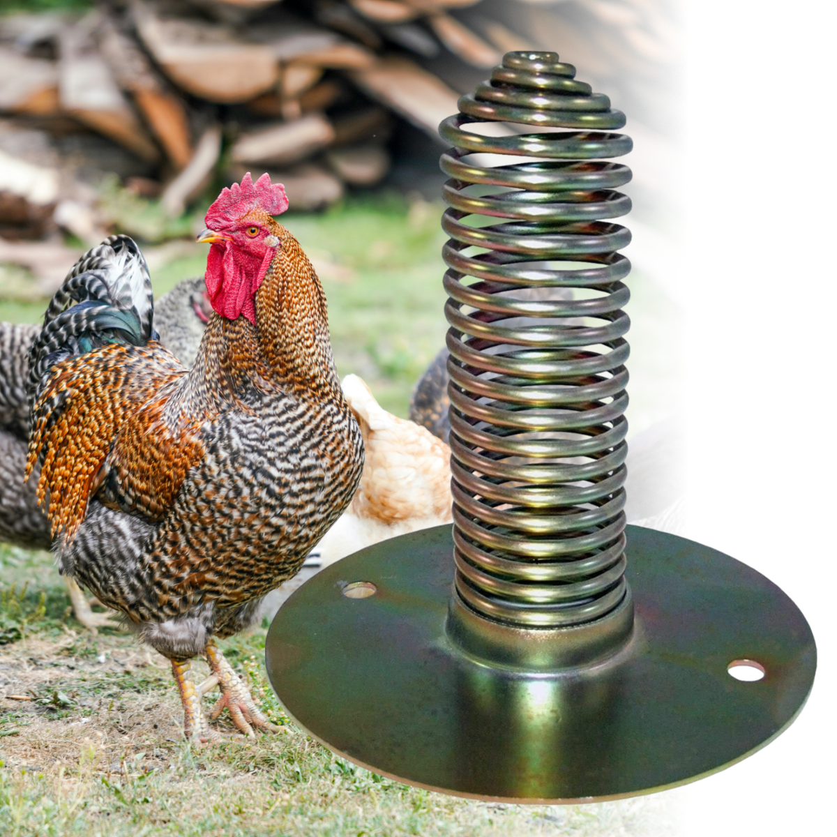 Spiral Spring Feeder Poultry & Fowl Gravity Feeder