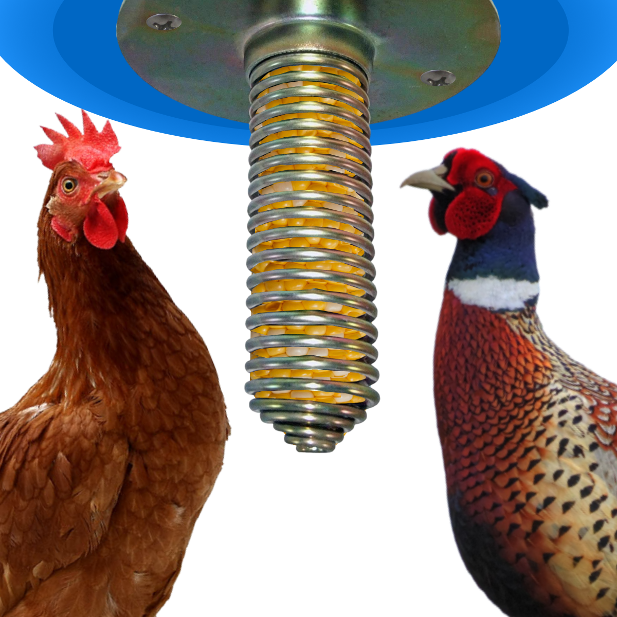 Spiral Spring Feeder Poultry & Fowl Gravity Feeder