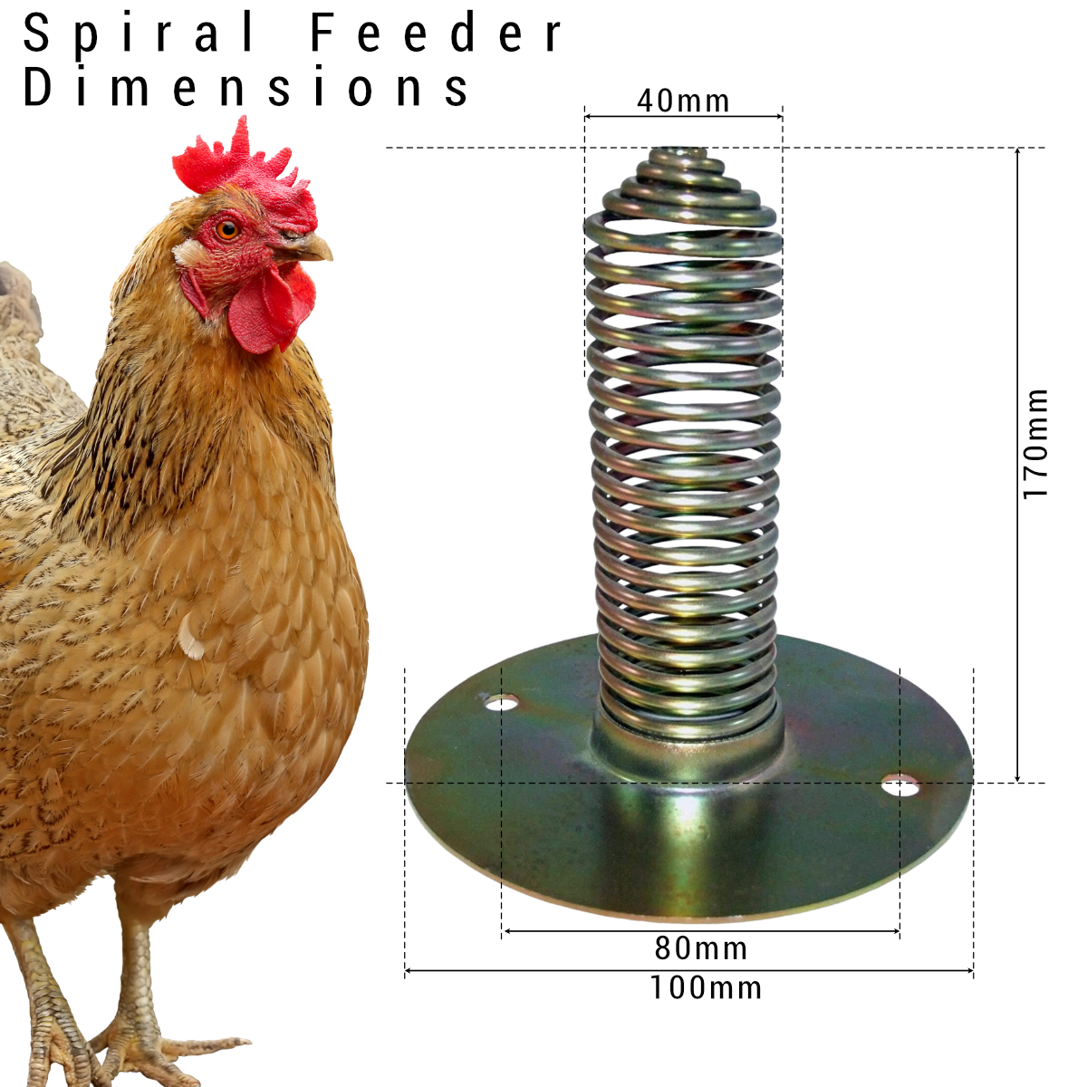 Spiral Spring Feeder Poultry & Fowl Gravity Feeder