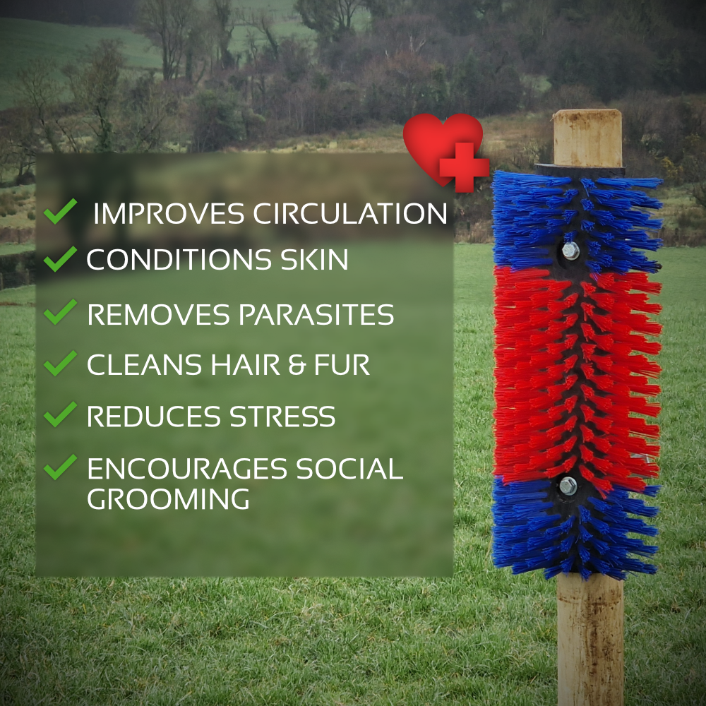 Horse Scratch Brush Cow Scratching Pole Stable Cattle Pony Sheep Goats