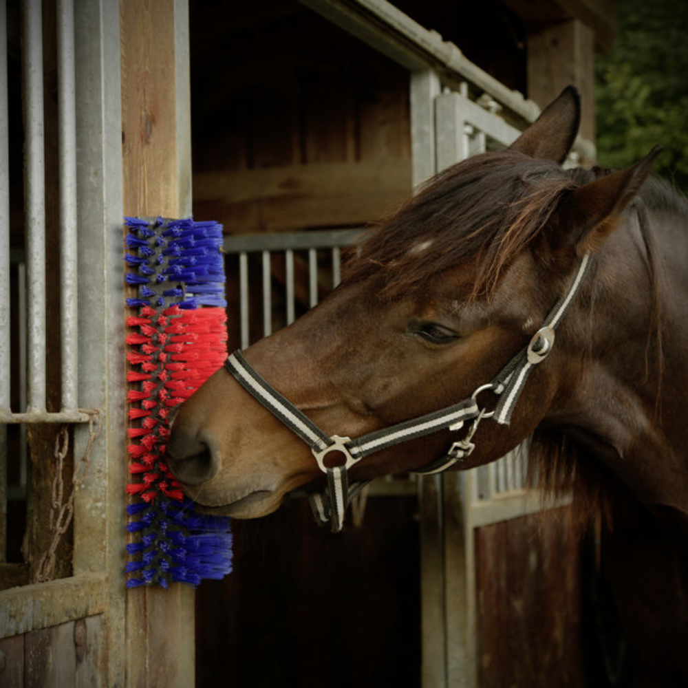 Horse Scratch Brush Cow Scratching Pole Stable Cattle Pony Sheep Goats