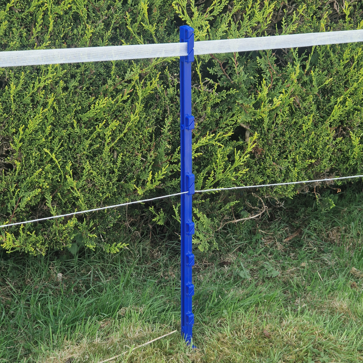 Doblit 105cm Blue Poly Post 3ft Electric Fencing Plastic Fence Stake