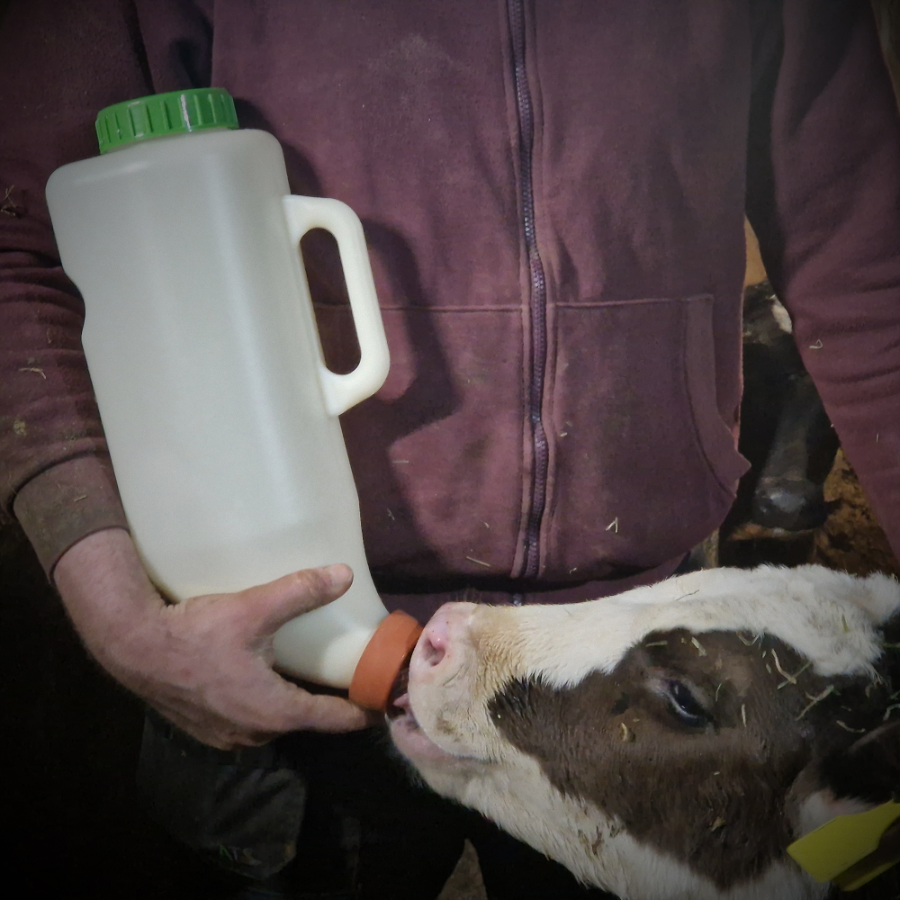 Calf Feeder 4L Milk Bottle Drinker for Young Calf Milk Replacer With Teet