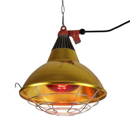 Infrared Heat Lamp Heater with High / Low Switch- FREE 250w Ruby Heat Bulb