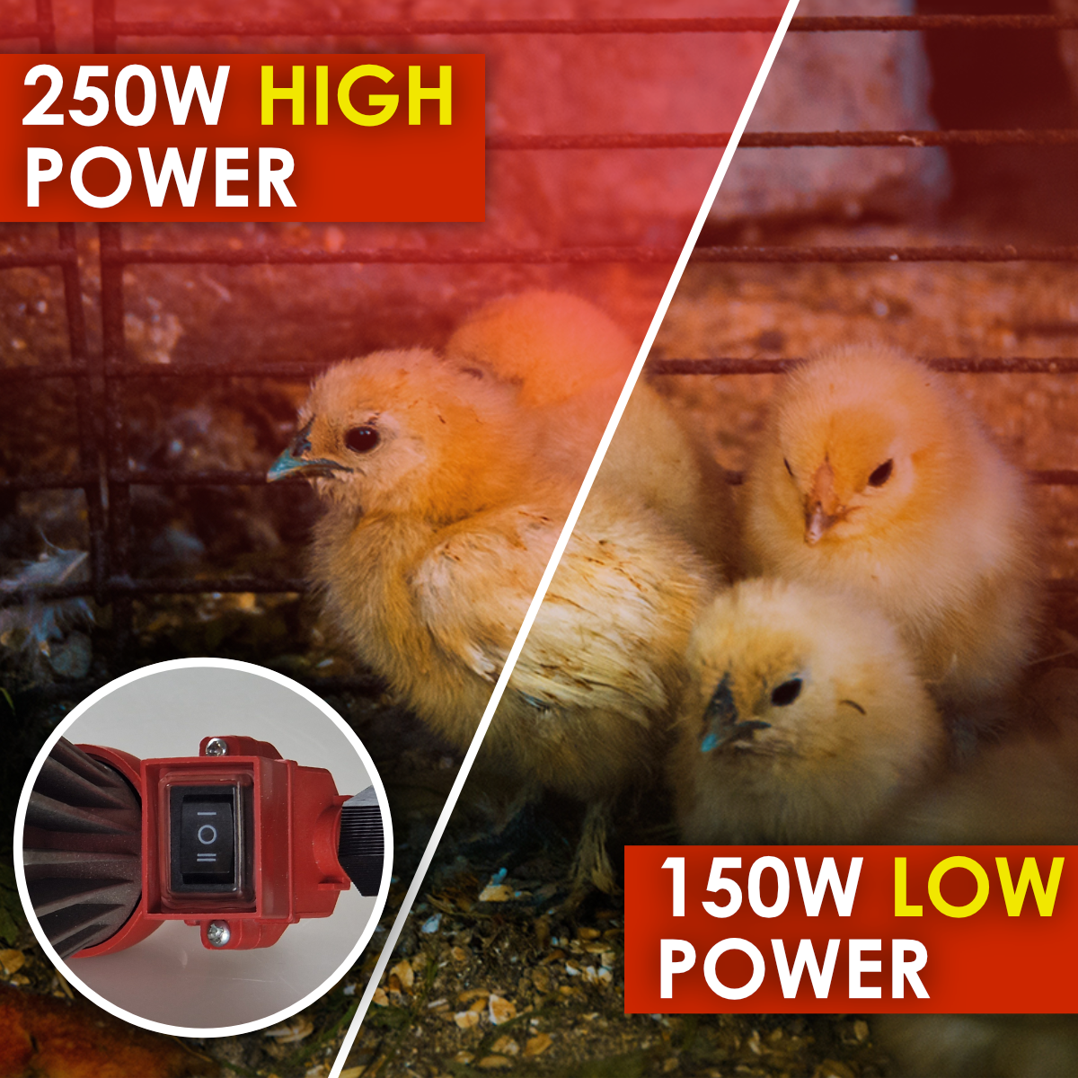 Infrared Heat Lamp Heater with High / Low Switch- FREE 250w Ruby Heat Bulb