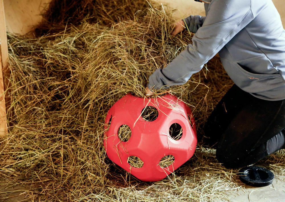 Hay Ball Feeder Horse Play & Treat Feeding 40cm Diameter Ball, 19 x 6cm Openings