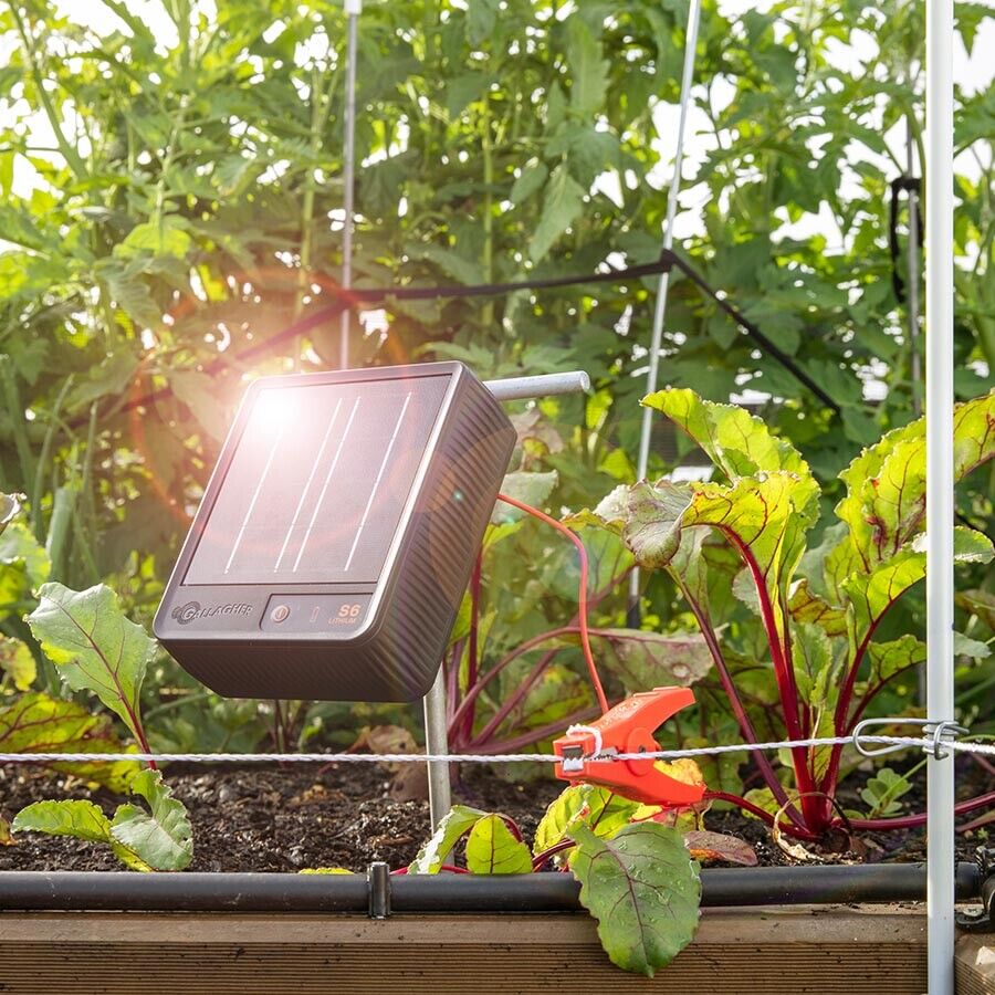 Gallagher S6 0.08J 1km Solar Electric Fence Energiser w/ 2.2w Panel