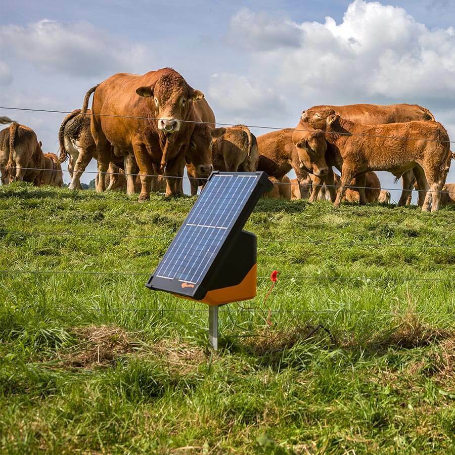 Gallagher S200 2J 20km Solar Electric Fence Energiser w/ 20w Panel incl. 2 batteries (2x 12 V - 7,2 Ah)
