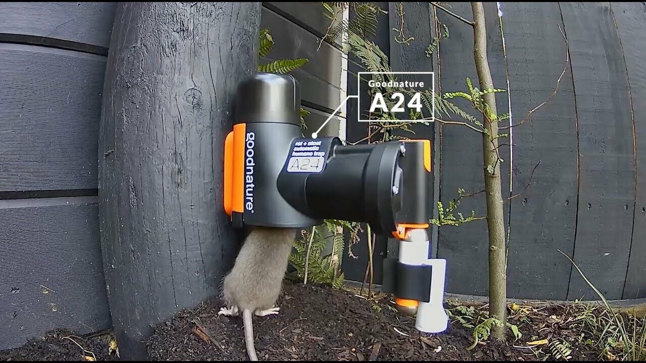 A24 Rat & Mouse Trap Automatic CO2 Humane Non Toxic UK Certified Kit