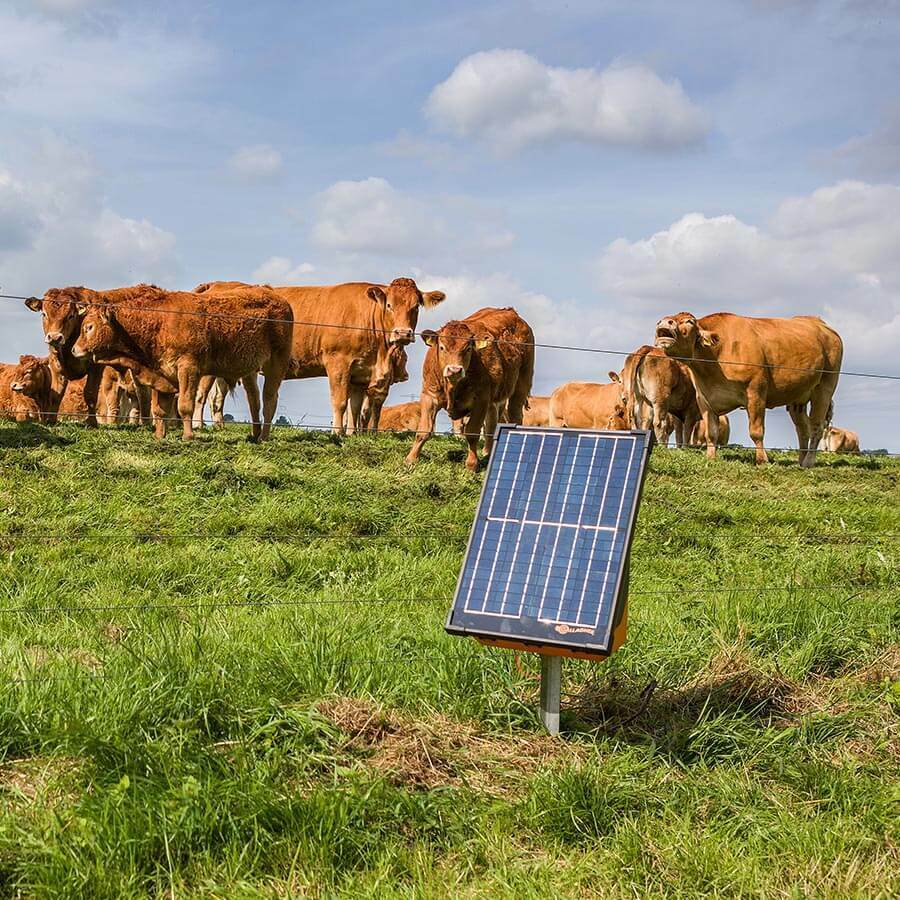 Gallagher S200 2J 20km Solar Electric Fence Energiser w/ 20w Panel incl. 2 batteries (2x 12 V - 7,2 Ah)