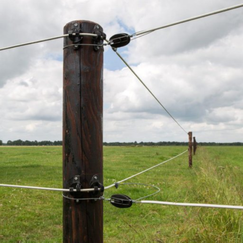 Egg Insulator Electric Fence End/Corner Strain Insulator