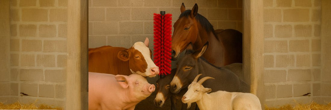 No Ifs, Ands, or Butts — Just Great Scratches.