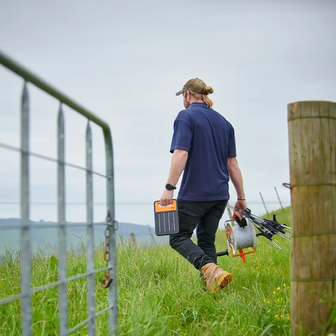 ENERGISERS:  THINKING ABOUT GOING SOLAR?