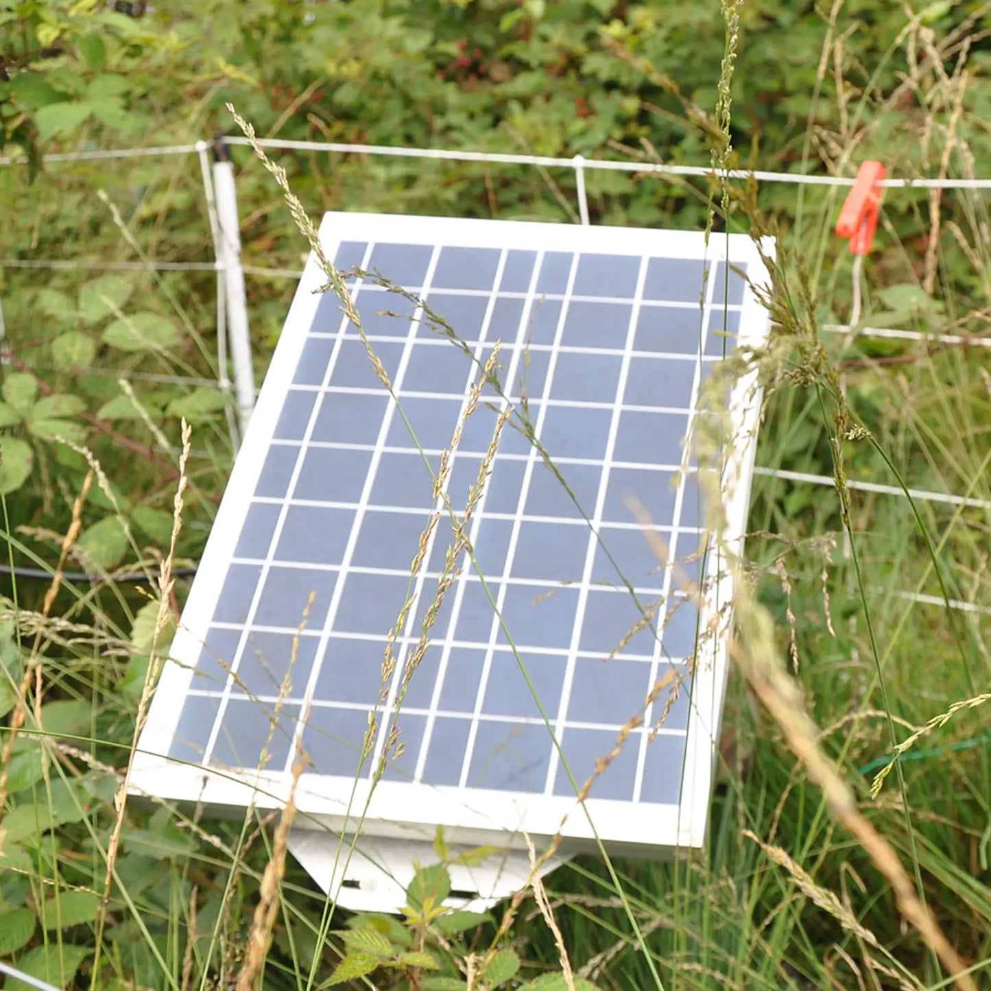 Gallagher Solar panel (20W)