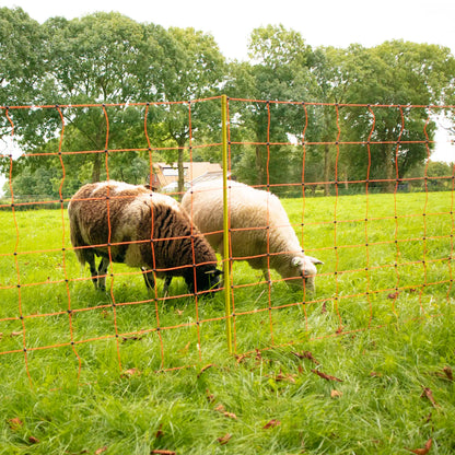 Gallagher Sheep Netting, Orange 90/2-14/Y-50m