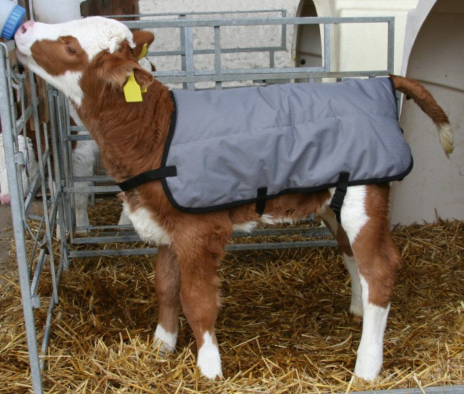 Calf Jacket Cosy Coat Winter Throw Rip-Proof, Water-Proof Size: Large