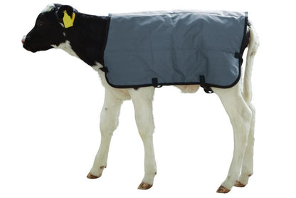 Calf Jacket Cosy Coat Winter Throw Rip-Proof, Water-Proof Size: Large