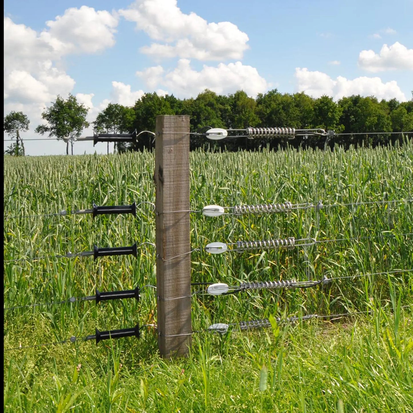 Gallagher Insultimber (FSC®) corner post (10.0 x 10.0cm - 2.50 metres) (pack of 10)